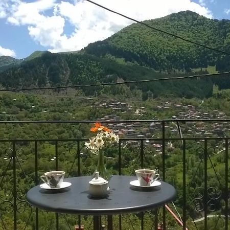 Apartmán Baou House Metsovo Exteriér fotografie