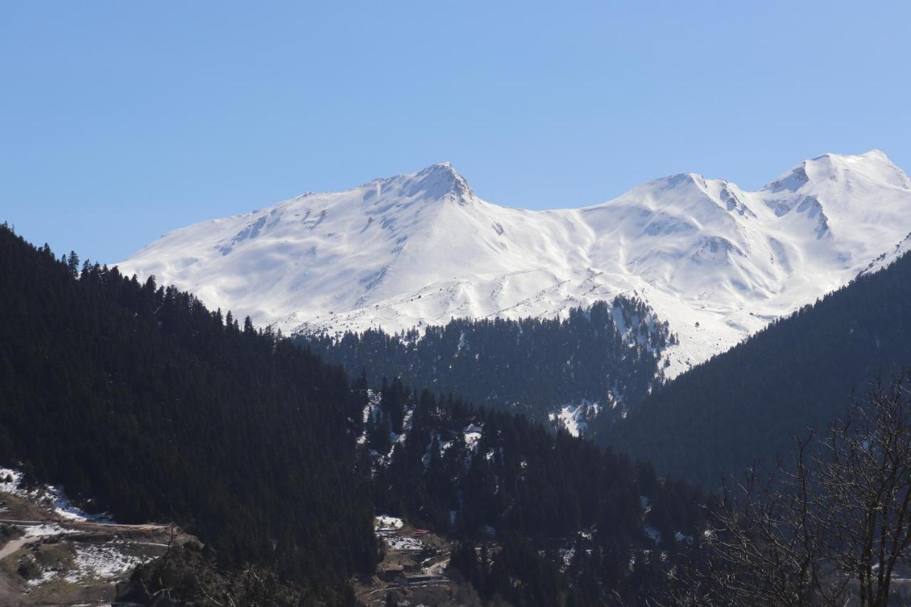 Apartmán Baou House Metsovo Exteriér fotografie